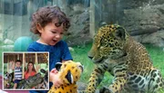 A joyful child holds up a stuffed leopard toy to a glass enclosure where a real leopard appears to be attentively observing it.