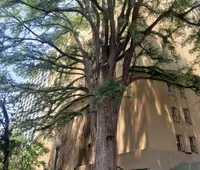 The Riverwalk Cruise was time well spent! It was nice to hear the history and see all the sites along the Riverwalk. Out tour guide was funny as well. XYZSha-De' Sharpe - HOUSTON, TX